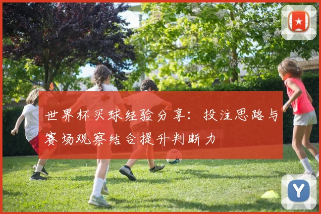 世界杯买球经验分享:投注思路与赛场观察结合提升判断力