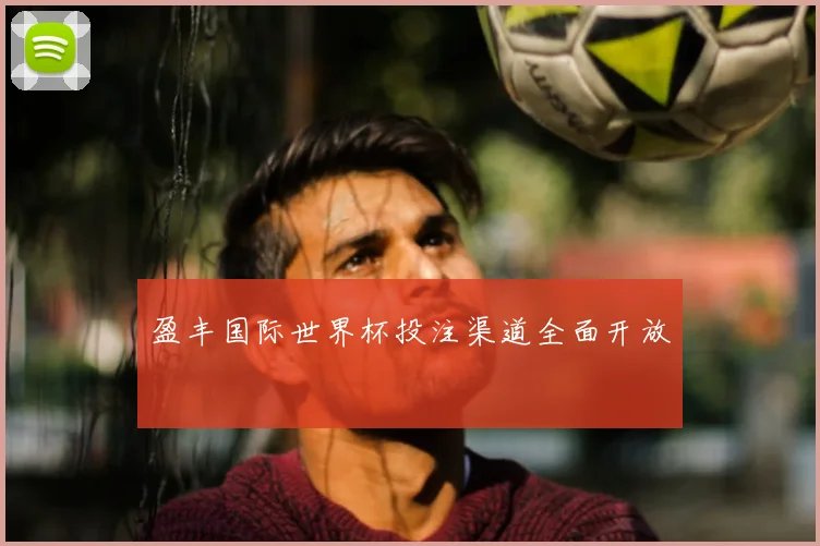 盈丰国际世界杯投注渠道全面开放