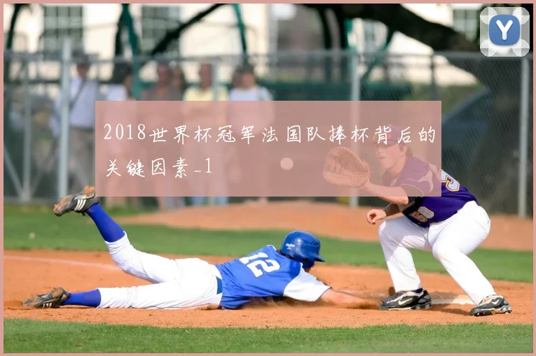 2018世界杯冠军法国队捧杯背后的关键因素_1
