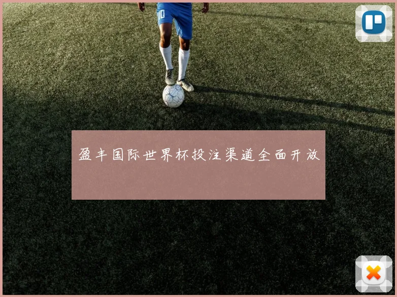 盈丰国际世界杯投注渠道全面开放